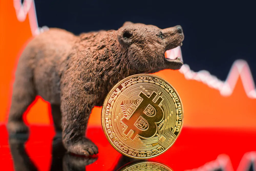 fasi bear market crypto 2022
