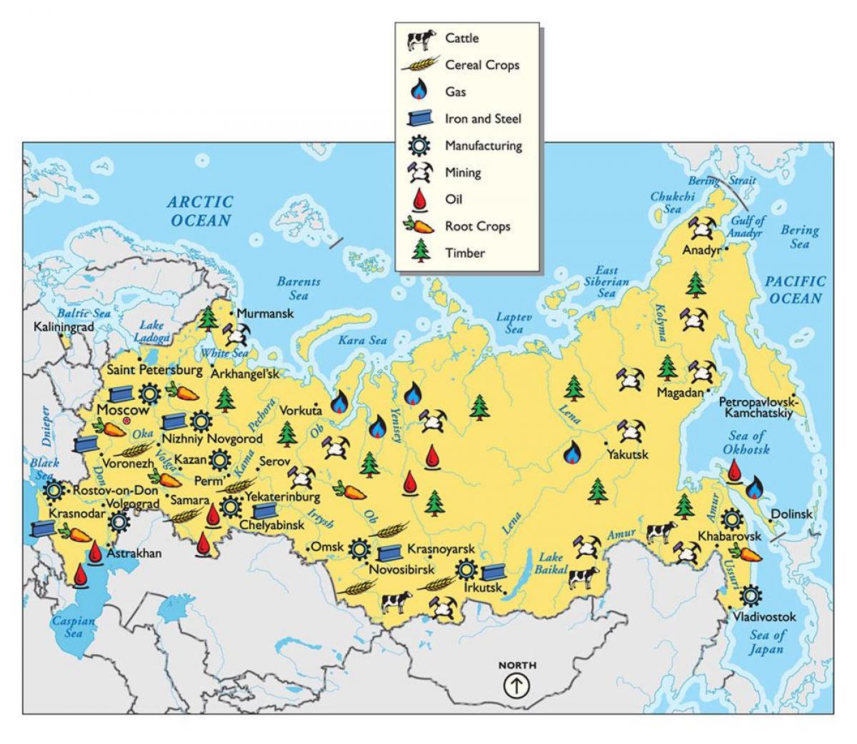 Russia risorse naturali