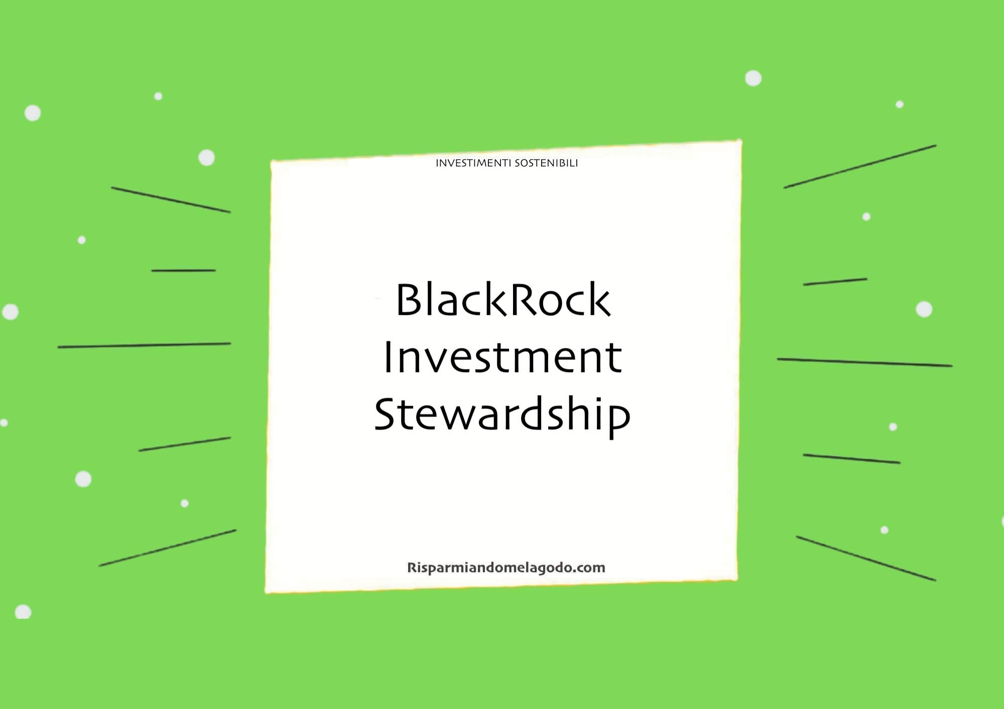 BlackRock Investment Stewardship